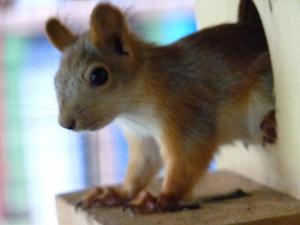 Фотография Мир чудес 5