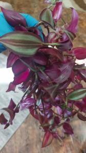 Фотография МБДОУ детский сад № 9 0