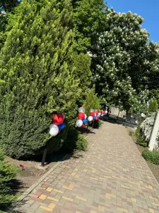 Фотография Детский сад № 7 4