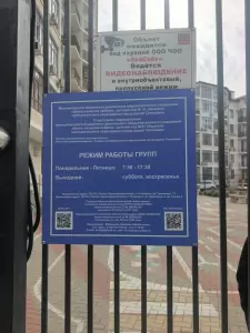 Фотография Березка 1