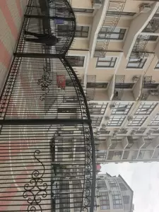 Фотография Березка 2