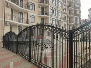 Фотография Березка 3