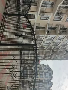 Фотография Березка 4