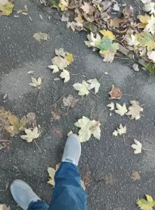 Фотография Центр - детский сад № 181 2