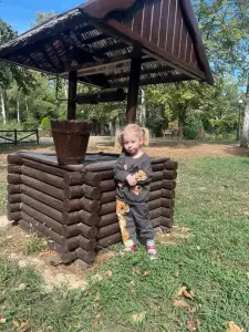 Фотография Детский сад № 203 4