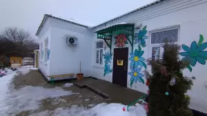 Фотография Ромашка 0