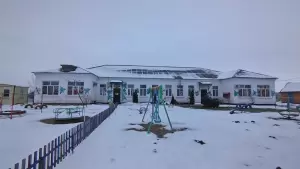 Фотография Ромашка 1