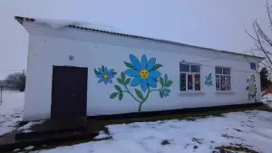 Фотография Ромашка 2