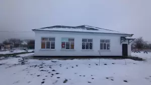 Фотография Ромашка 4