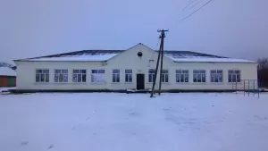 Фотография Ромашка 5