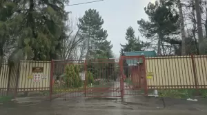 Фотография Детский Сад № 202 1