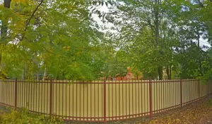 Фотография Детский Сад № 202 3