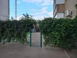 Фотография Солнышки 1